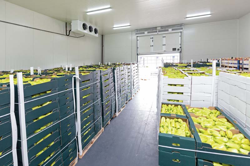 Fruit Cold Room