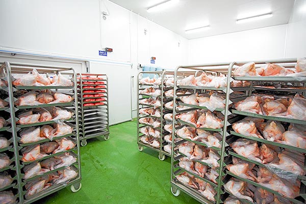 Chicken Cold Room