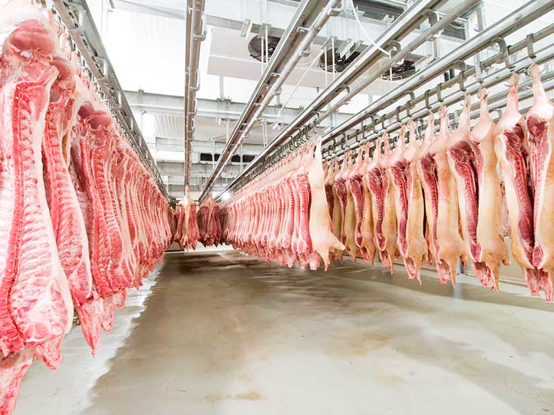 Cold Room for Meat Distribution Centers