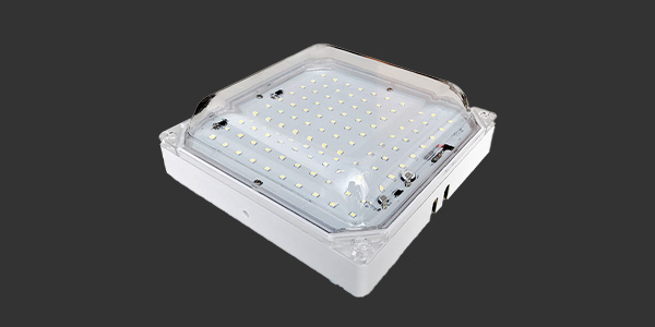 LED Light