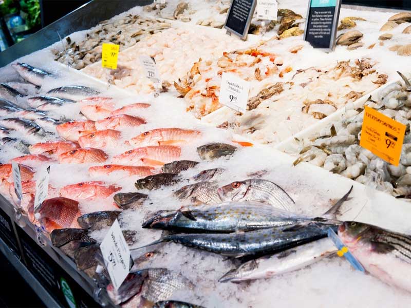 Cold Room for Fish Supermarkets