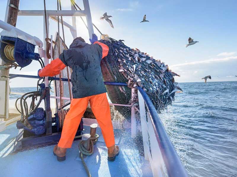 Cold Storage for Fishing Industry